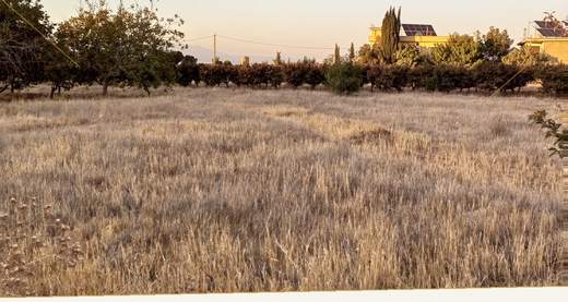 3,600 m² land for sale in Safri, Bekaa — Cedar Keys Estates Ref. 1135