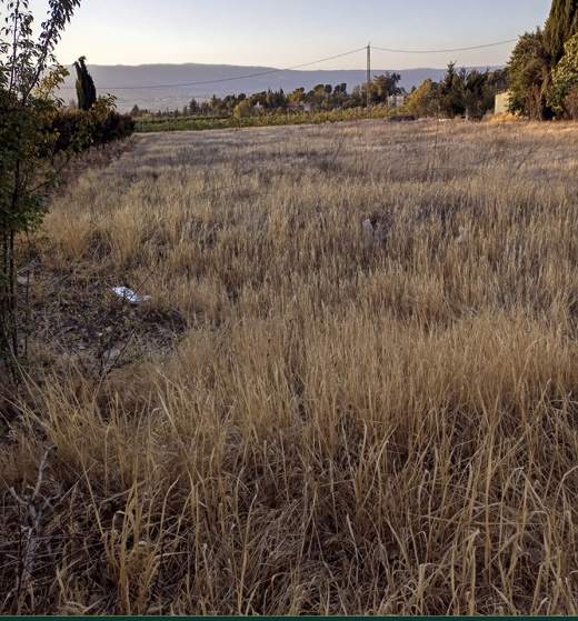 Land for sale in Safri, Bekaa — Cedar Keys Estates Ref. 1135, view 2