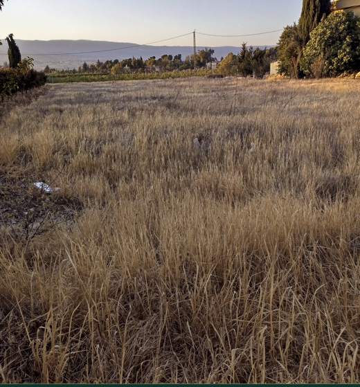 Land for sale in Safri, Bekaa — Cedar Keys Estates Ref. 1135, view 3