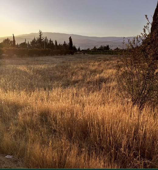 Land for sale in Safri, Bekaa — Cedar Keys Estates Ref. 1135, view 4