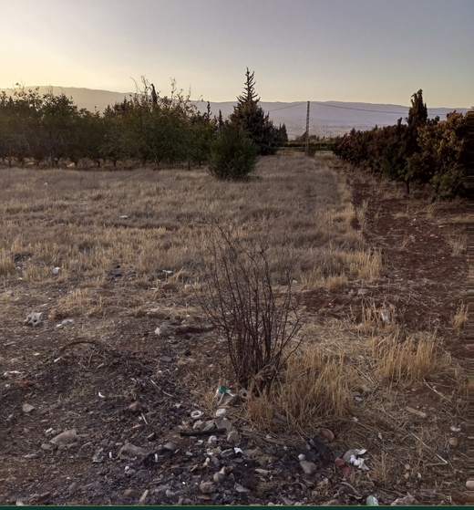Land for sale in Safri, Bekaa — Cedar Keys Estates Ref. 1135, view 5