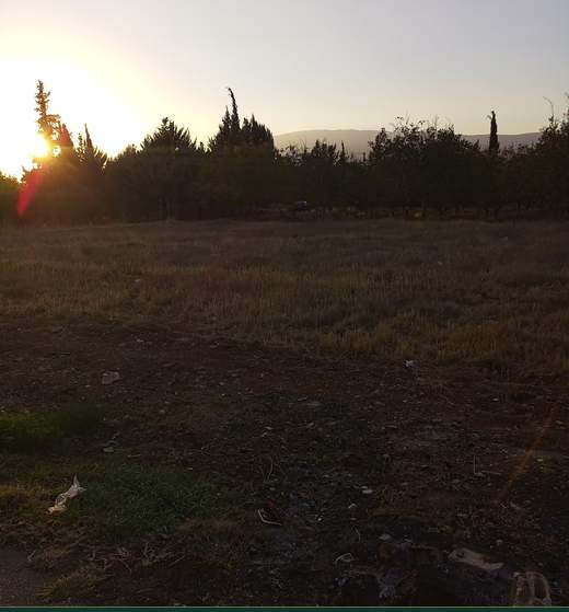 Land for sale in Safri, Bekaa — Cedar Keys Estates Ref. 1135, view 6