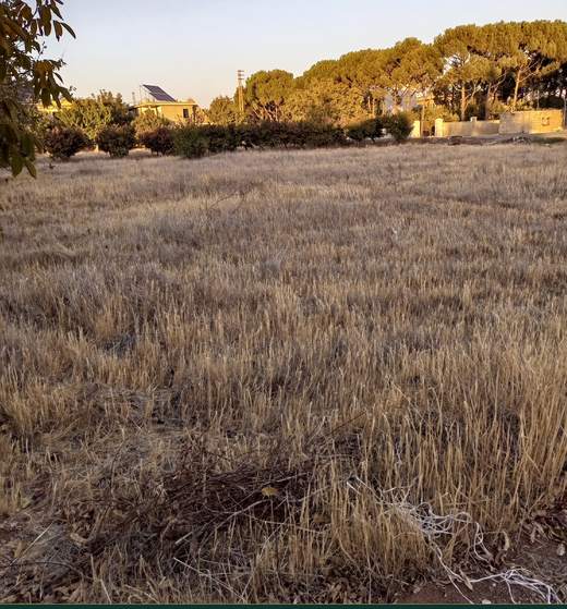 Land for sale in Safri, Bekaa — Cedar Keys Estates Ref. 1135, view 7